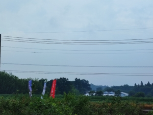 赤城ブルーベリー斎藤農園