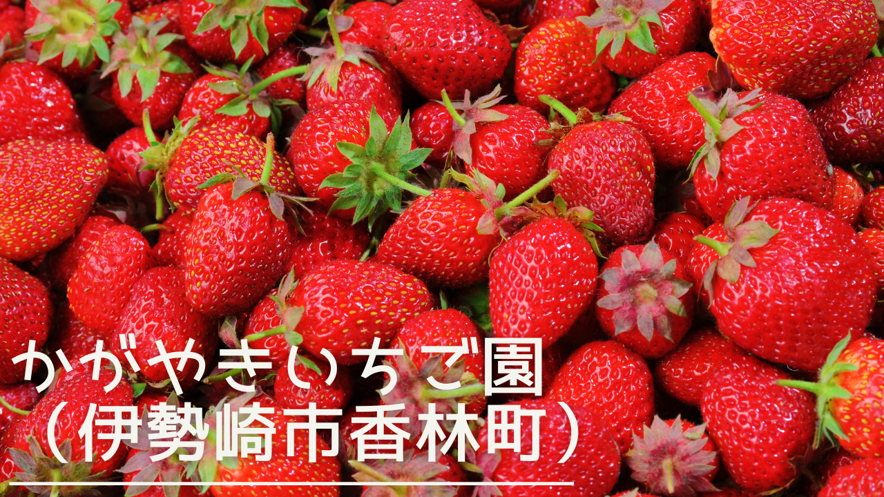 kagayakiichigoen-eyecatch