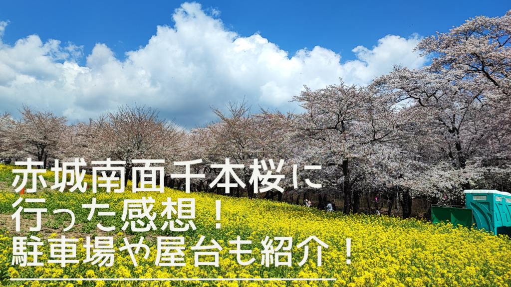 赤城南面千本桜の桜