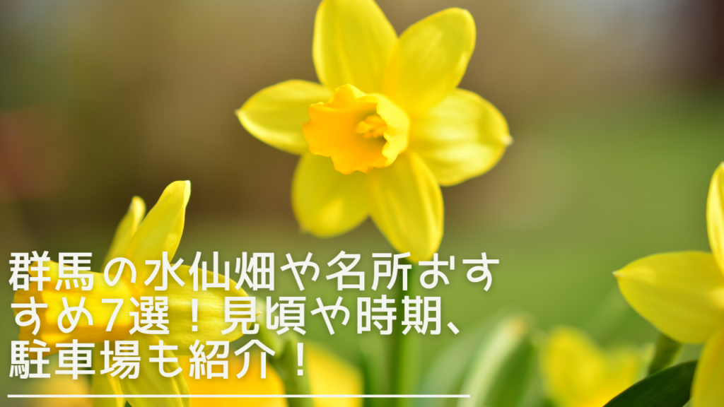 gunma-suisenn-eyecatch