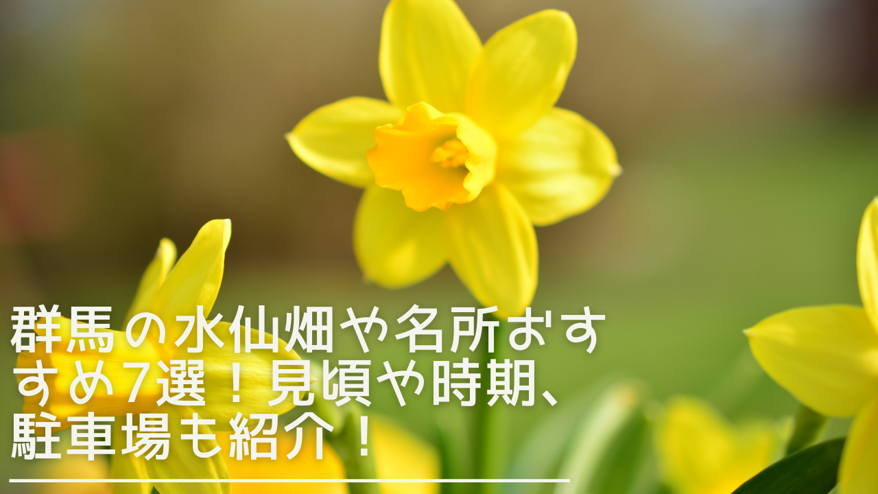 gunma-suisenn-eyecatch