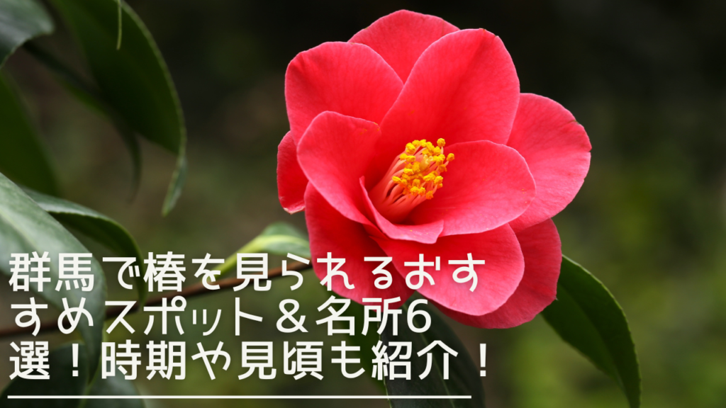 gunma-tsubaki-eyecatch (2)