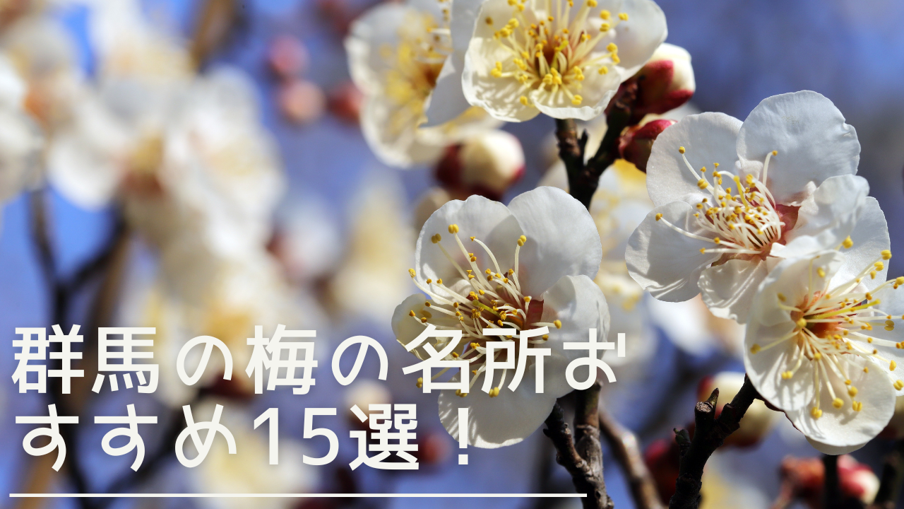 gunma-ume-meisho-eyecatch