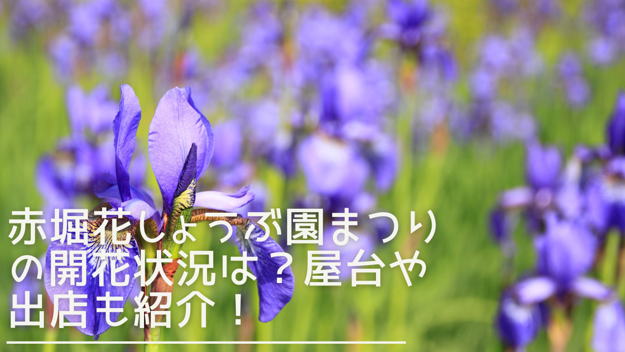 akahorihanashoubuenmatsuri-eyecatch