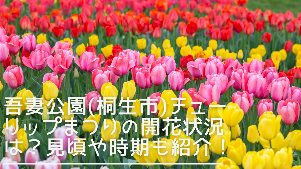 azumakoenchurippu-eyecatch