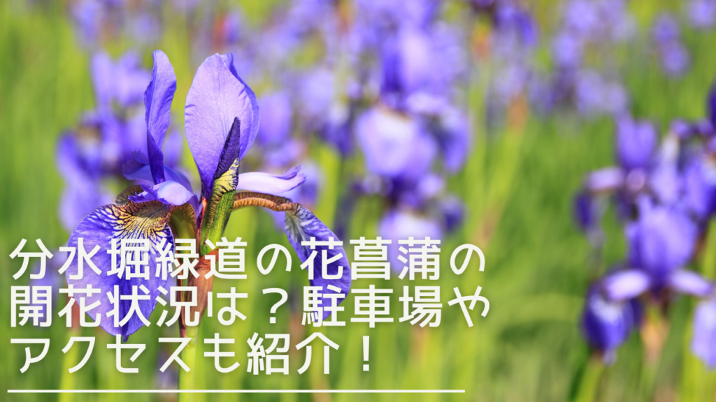 bunsuiboriryokudou-hanashoubu-eyecatch