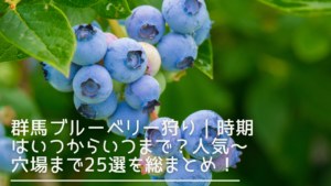 gunma-blueberry-eyecatch