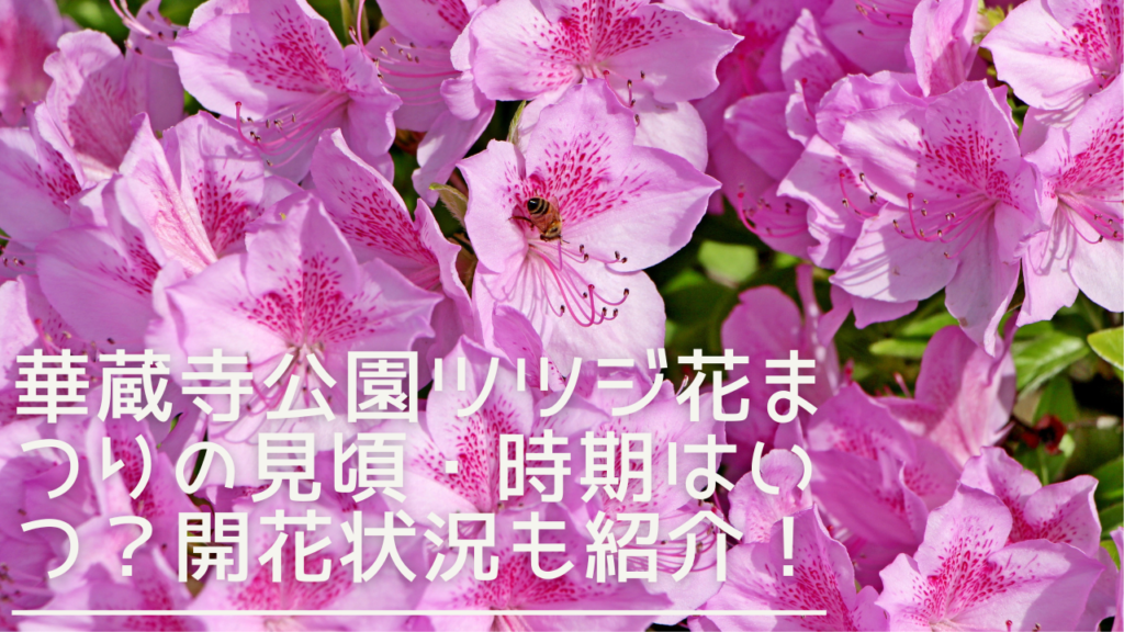 kezoujikoentsutsujumatsuri-eyecatch