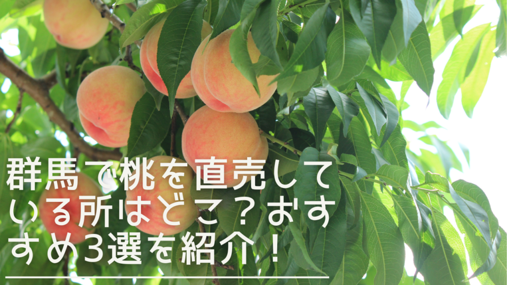 gunma-momochokubai-eyecatch