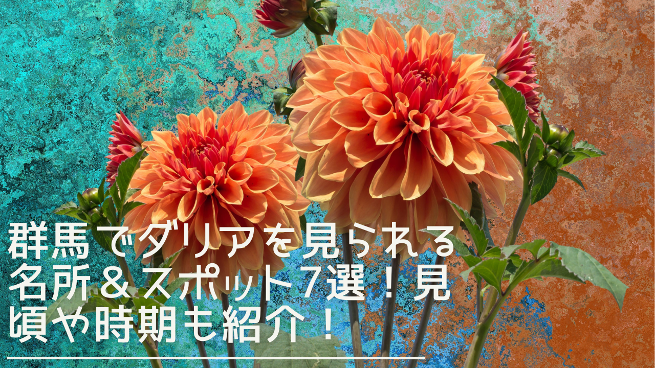 gunma-daria-eyecatch