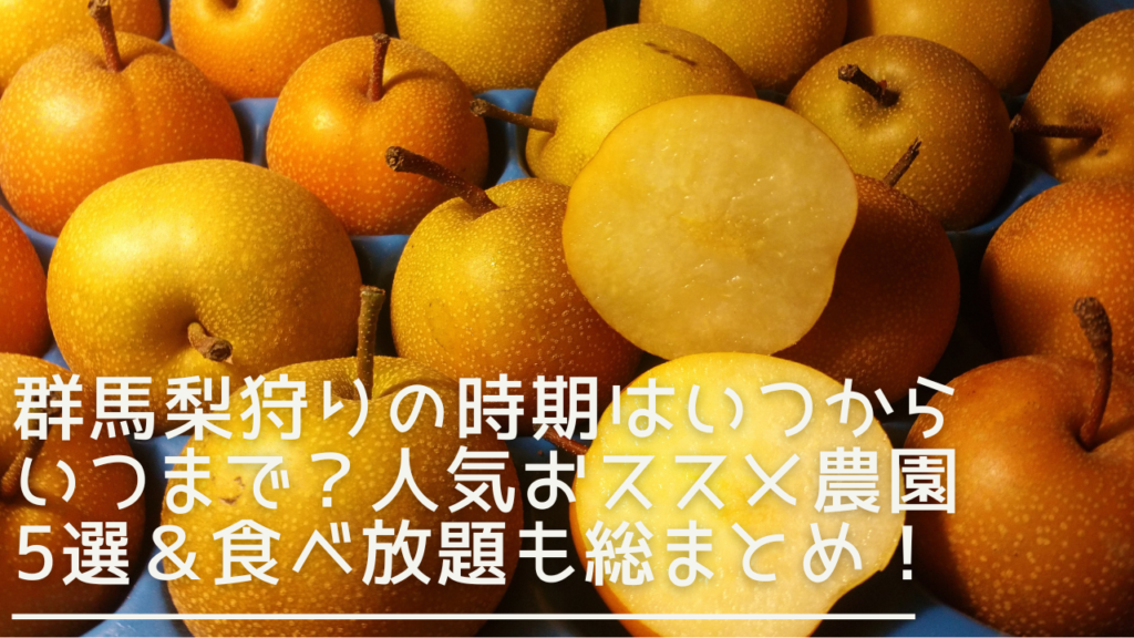 gunma-nashigari-eyecatch