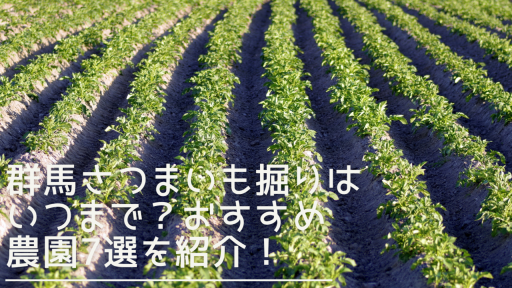 gunma-satsumaimohori-eyecatch