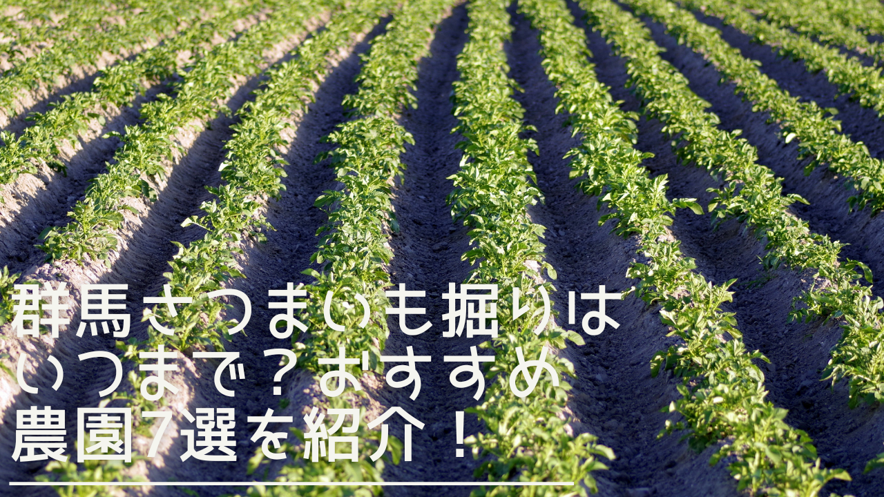 gunma-satsumaimohori-eyecatch