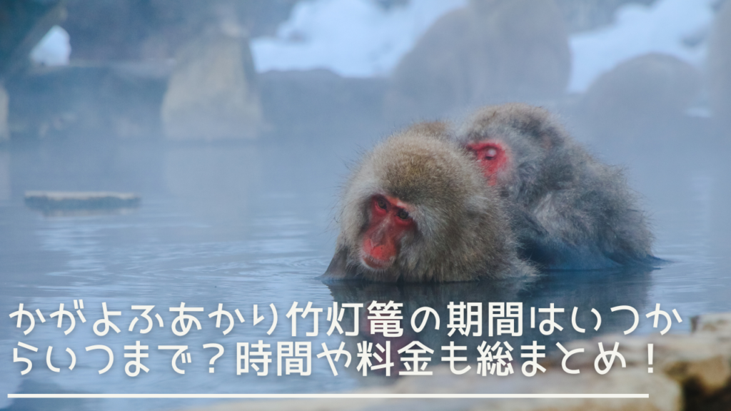 isobeonsenillumination-eyecatch