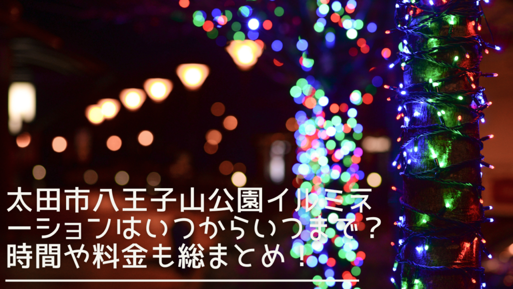 ohtashihachiojikoenillumination-eyecatch