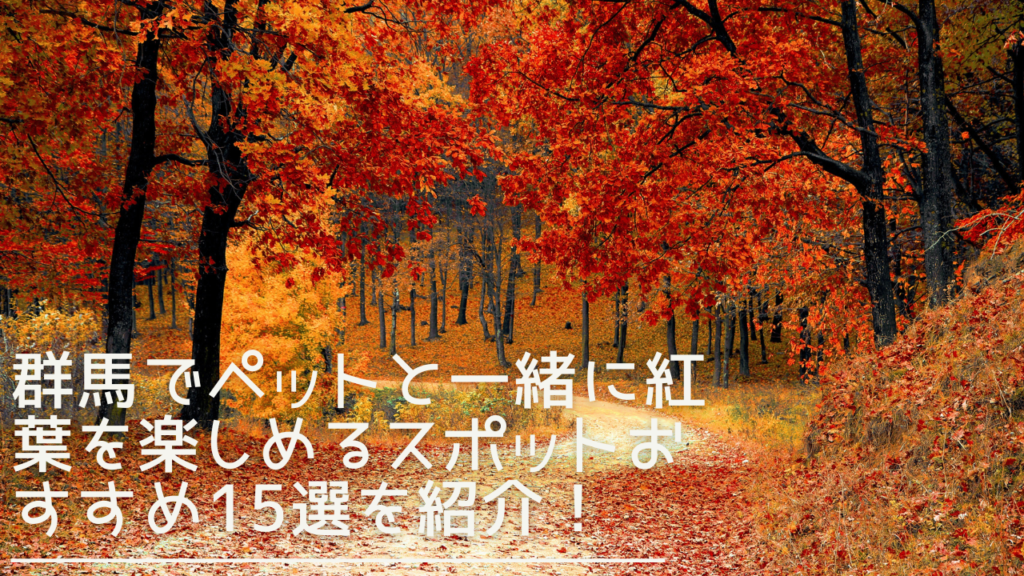 gunma-petkouyou-eyecatch