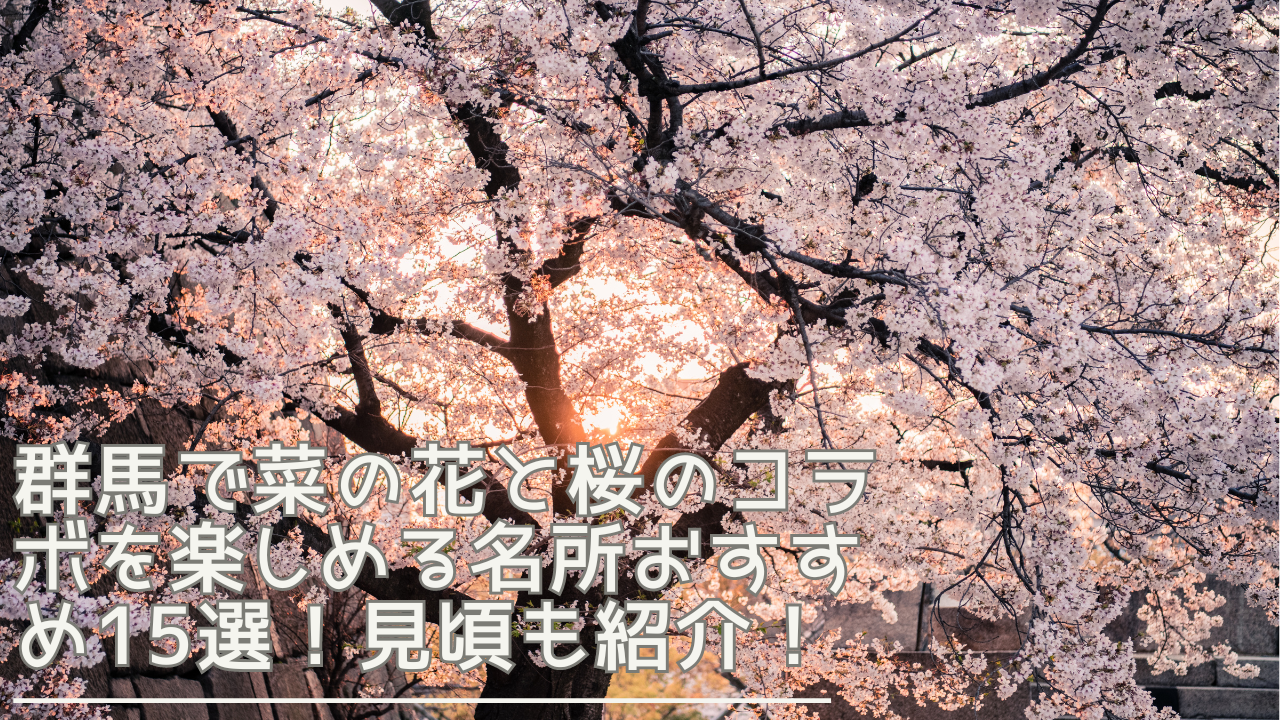 gunma-nanohanatosakura-eyecatch