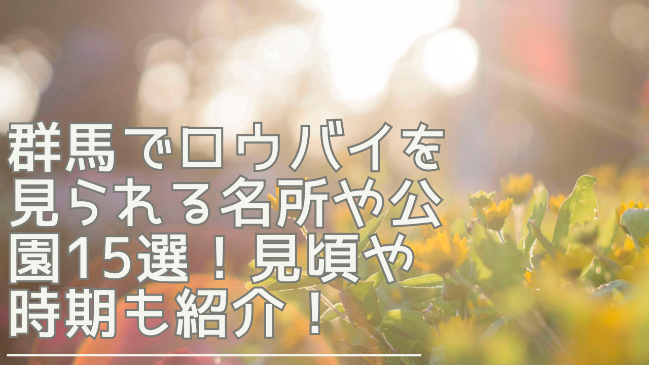 gunma-roubai-eyecatch