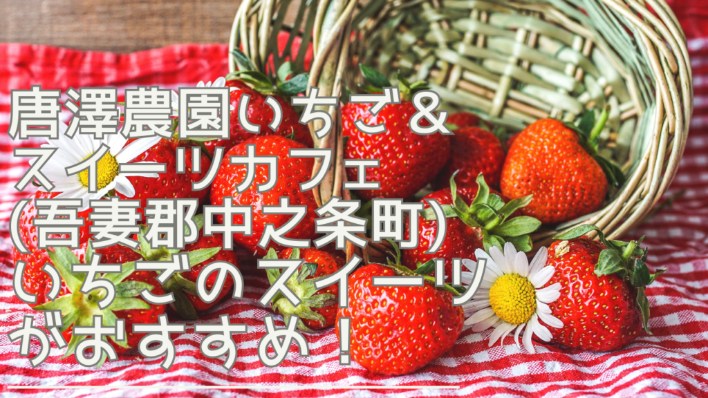 karasawanouenichigosweetscafe-eyecatch