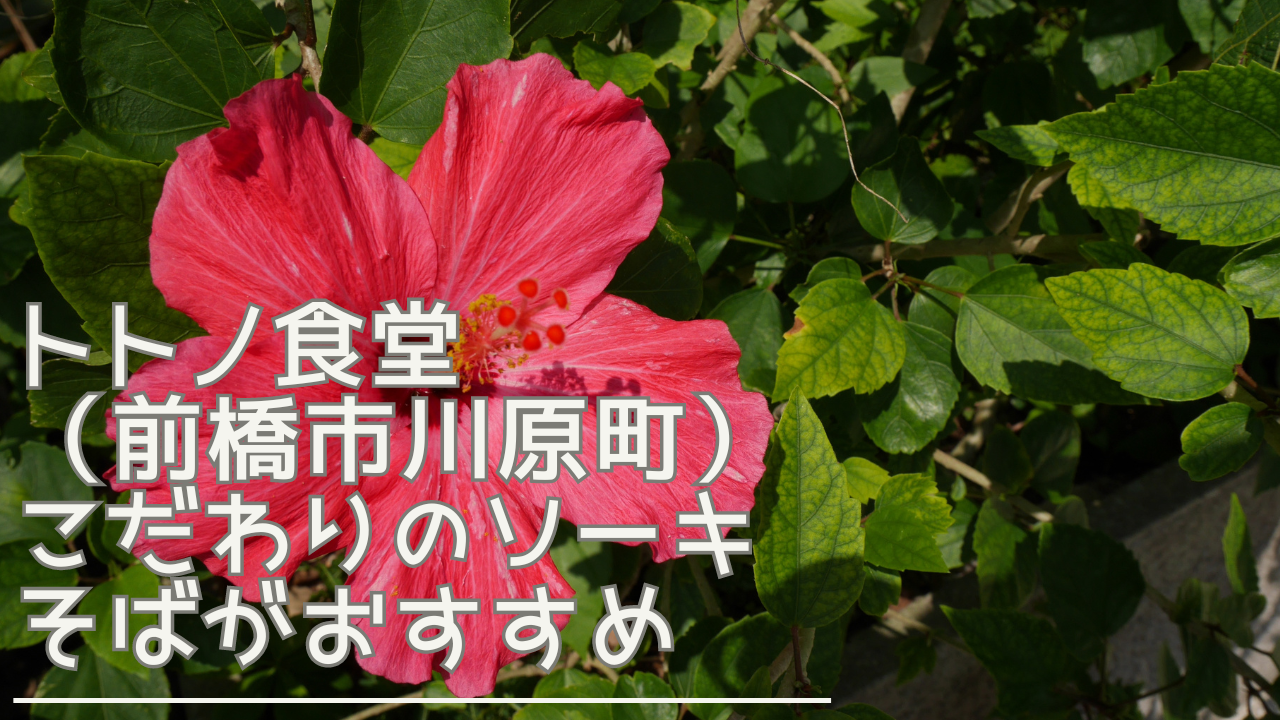 totonoshsokudou-eyecatch