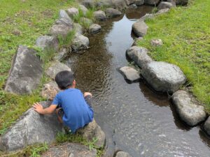三ツ寺公園の小川