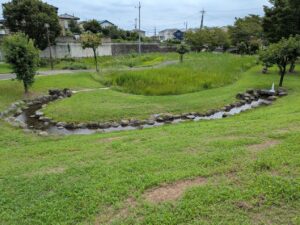 三ツ寺公園の小川