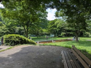 嶺公園の水遊び場所