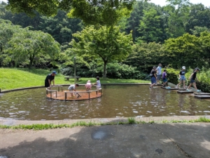 嶺公園の水遊び場所