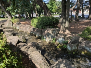 敷島公園の川