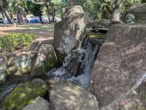 敷島公園の川