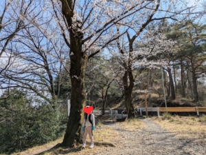 水道山公園→吾妻山登山口へ