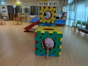 だれでも広場の遊具