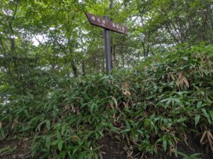 掃部ヶ岳登山道
