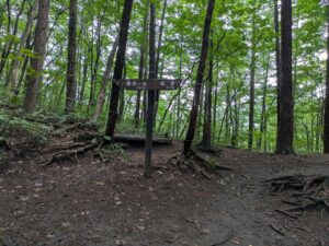 掃部ヶ岳登山道