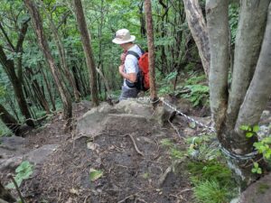 掃部ヶ岳登山道