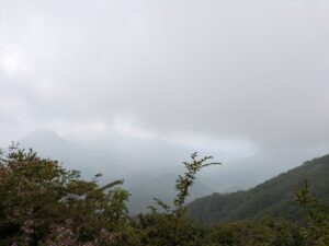 掃部ヶ岳からの景色