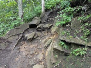 掃部ヶ岳の登山道