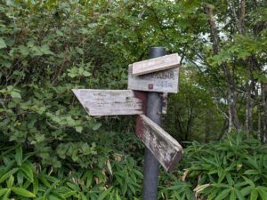 掃部ヶ岳の登山道