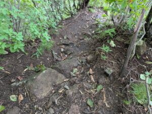 掃部ヶ岳の登山道