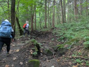 掃部ヶ岳の登山道