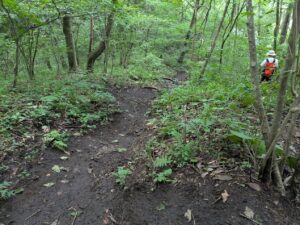 掃部ヶ岳の登山道