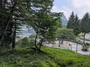 掃部ヶ岳の登山道