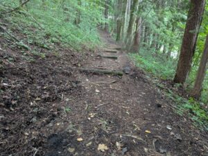 掃部ヶ岳の登山道