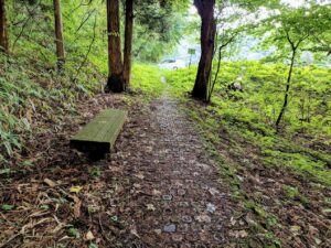 掃部ヶ岳の登山道