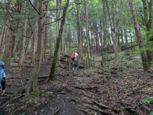 掃部ヶ岳の登山道