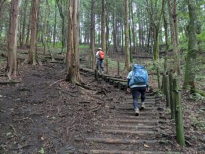 掃部ヶ岳の登山道