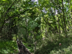 庚申山の男坂