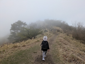 子供と鍋割山(赤城)に登っているところ
