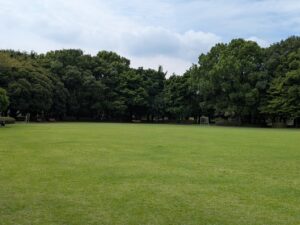 前橋総合運動公園の自由広場