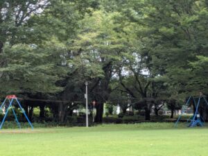 前橋総合運動公園の広場Aの遊具